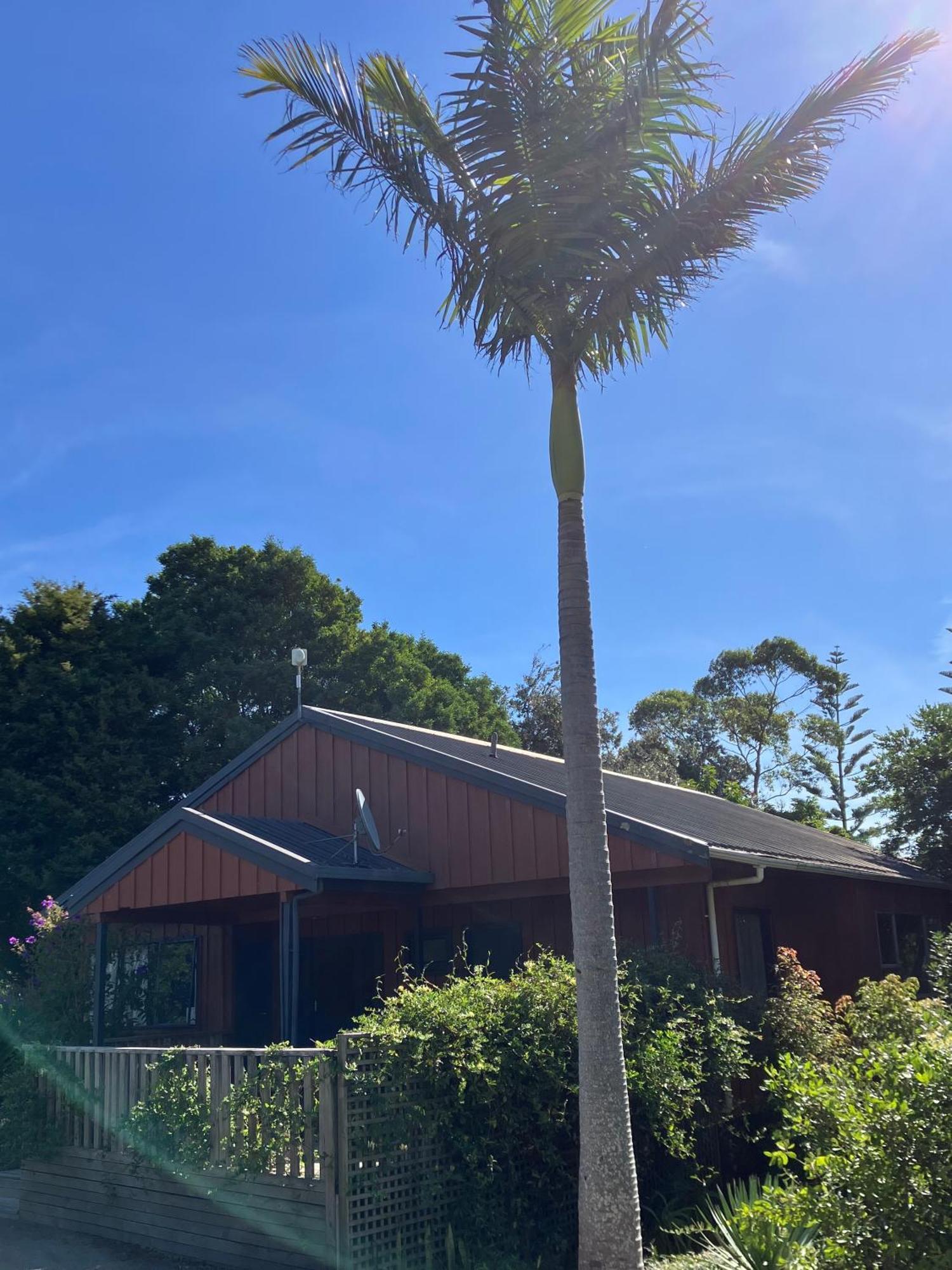 Ahipara Holiday Park Exterior photo